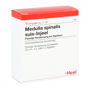 Medulla Spinalis suis Injeel Ampullen