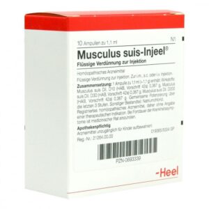 Musculus suis Injeel Ampullen