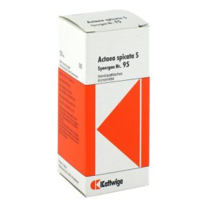 Synergon 95 Actaea spic. S Tropfen