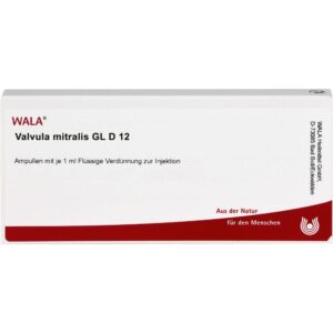 Valvula Mitralis Gl D12 Ampullen