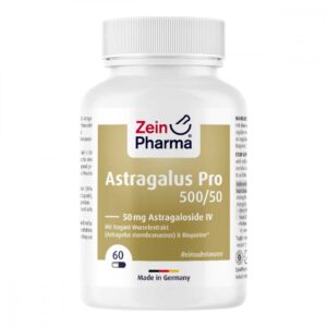 Astragalus Pro 500/50 50 Mg Astragaloside Iv Kapsel (n)