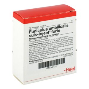 Funiculus Umbilicalis suis Injeel forte Ampullen