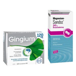 Gingium 120 mg Fta 120 stk + Magnesium Sandoz 243 mg Bta 40 stk